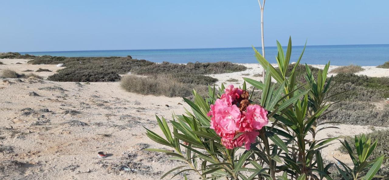 Bed and Breakfast Dar Chick Yahia Ile De Djerba Mezrane Exteriér fotografie